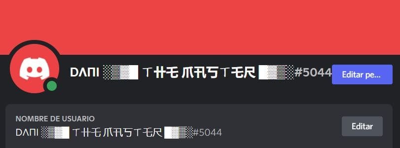 cambiar letras nick Discord 04